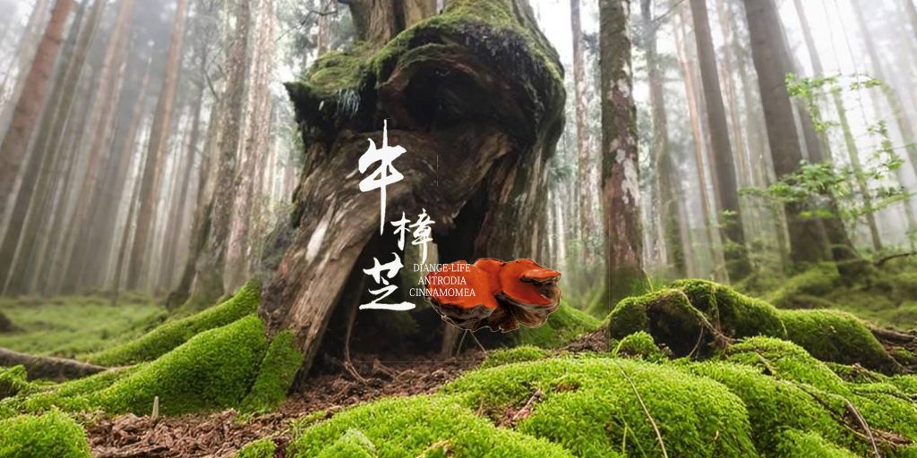 小圖